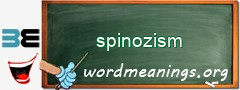 WordMeaning blackboard for spinozism